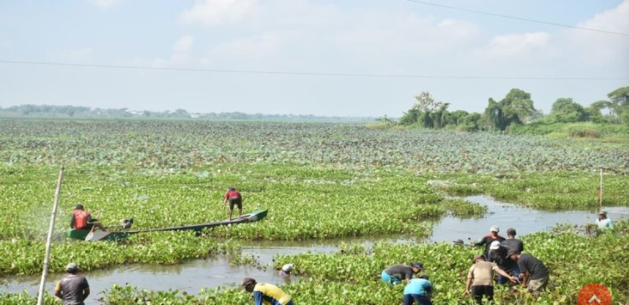 Foto: Kemarau Ancam Pangan, Lamongan Percepat Antisipasi Kekeringan