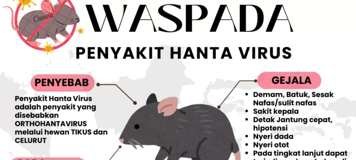Foto: Masyarakat Diminta Waspadai Waspada Wabah Hantavirus