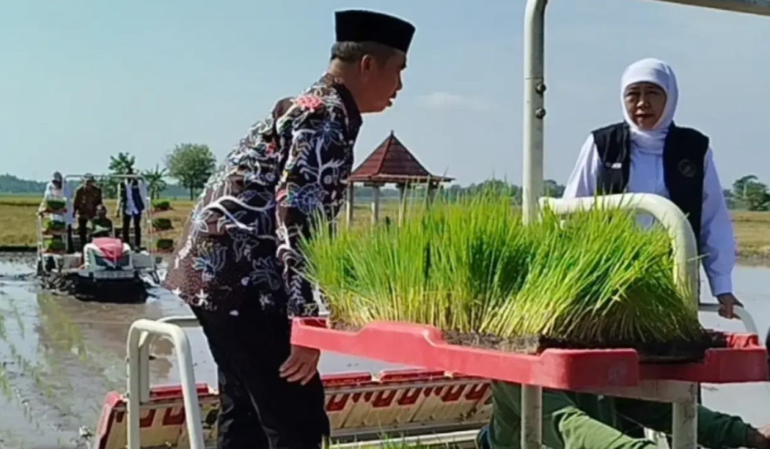 Foto: PERTAHANKAN SURPLUS BERAS, KHOFIFAH DORONG PERCEPATAN TANAM DAN MODERNISASI ALSINTAN DI MADIUN