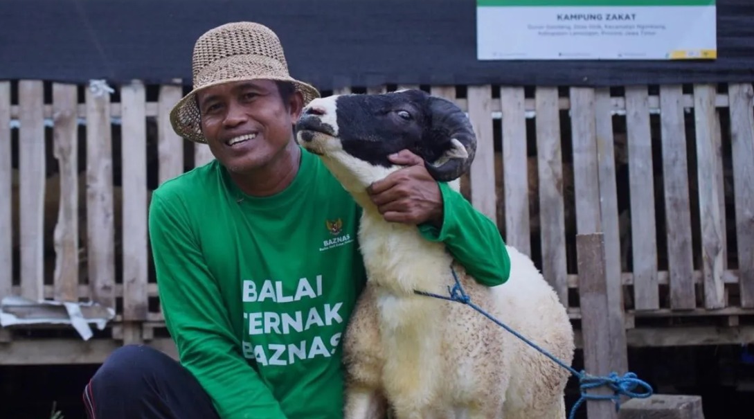 Foto: BAZNAS BERDAYAKAN PETERNAK MUSTAHIK LAMONGAN UNTUK PASOK KEBUTUHAN HEWAN KURBAN