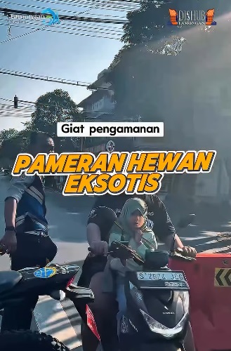 Foto: PENGAMANAN PAMERAN HEWAN EKSOTIS Semarak Hari Jadi Lamongan Tahun 2026