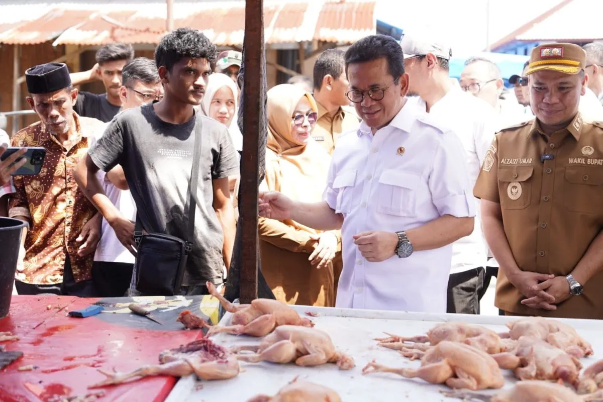 Foto: Mendag: Perdagangan Telah Kembali Berjalan di Pidie Aceh