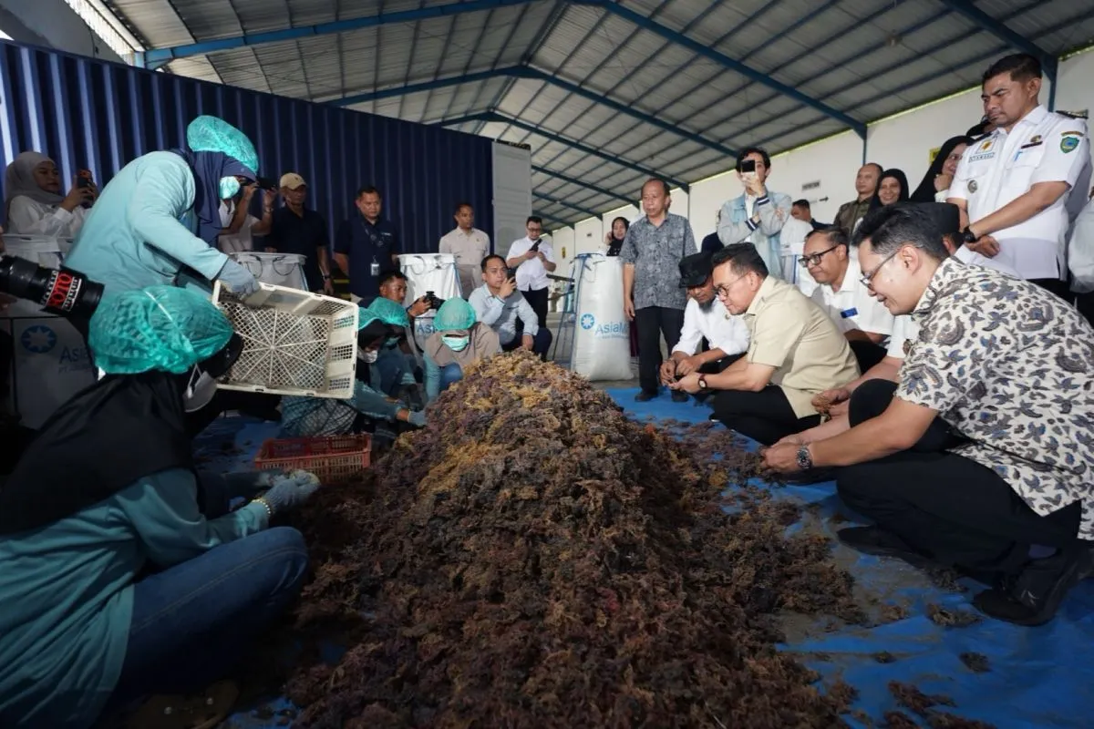 Foto: Kemendag Optimalkan Resi Gudang, Ekspor Rumput Laut Tembus Tiongkok