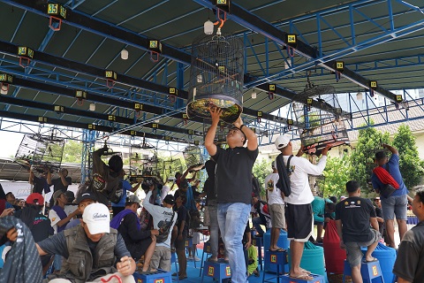 Foto: Dorong Pertumbuhan Ekonomi melalui Komunitas Hobi, Mendag Busan Buka Lomba Burung Berkicau dan Festival UMKM