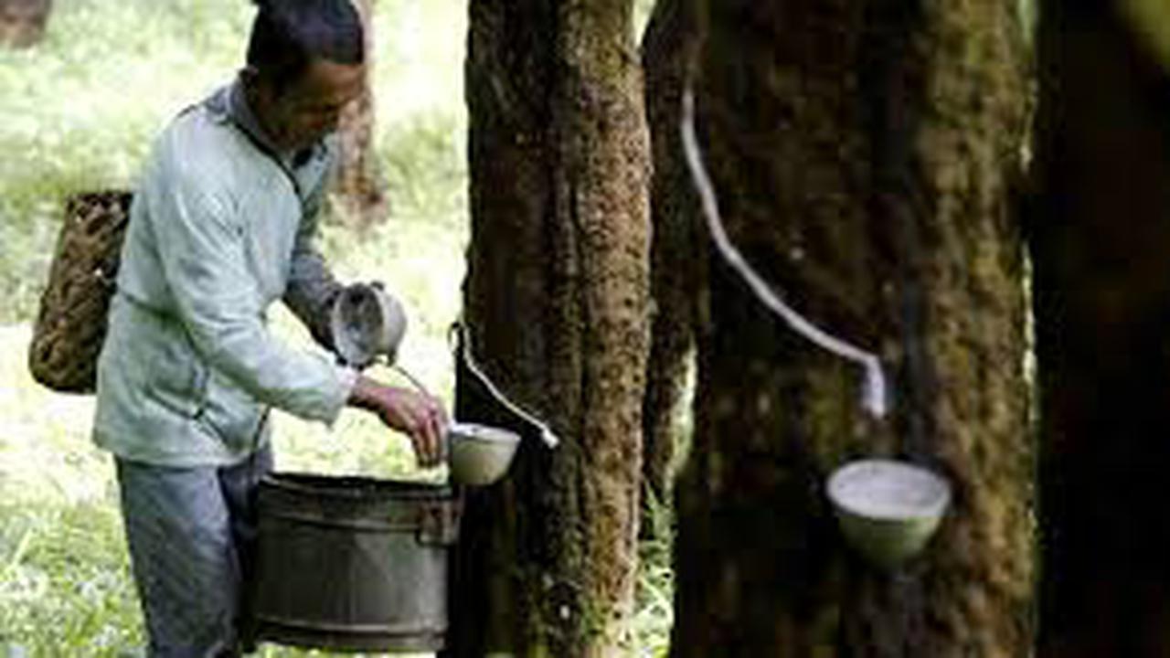 Foto: Ekspor Karet Alam Diperketat, Ini Isi Lengkap Permendag Nomor 1 Tahun 2026