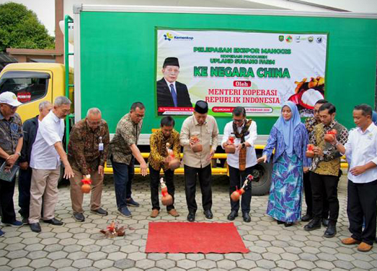 Foto: Menkop: Ekspor Manggis Oleh Koperasi Produsen Upland Subang Farm Bukti Koperasi Jadi Penggerak Ekonomi Desa