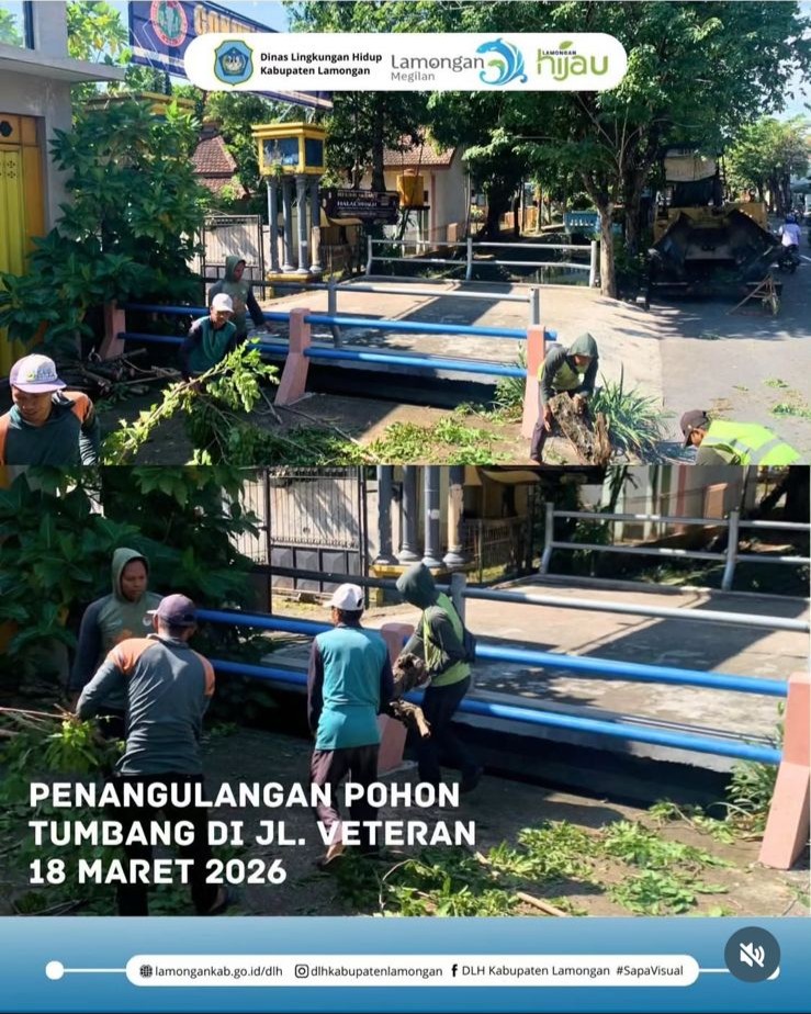 Foto: Penanggulangan Pohon Tumbang di Jalan Veteran