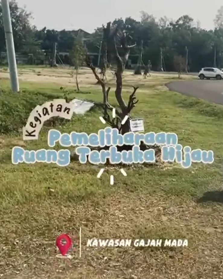 Foto: Pemeliharaan RTH Kawasan Gajah Mada