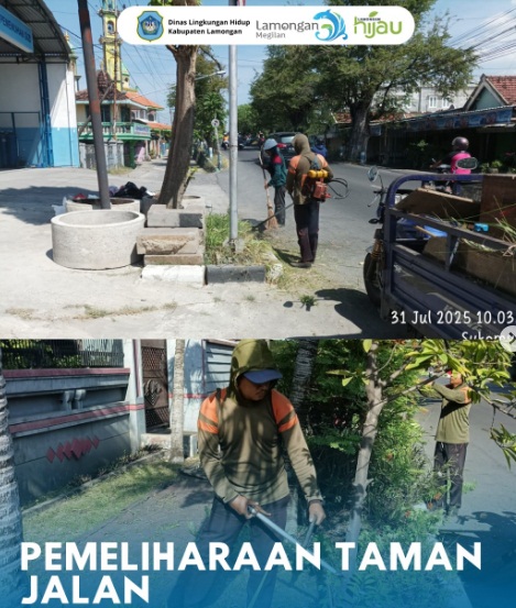Foto: Pemeliharaan Taman Jalan di Beberapa Titik