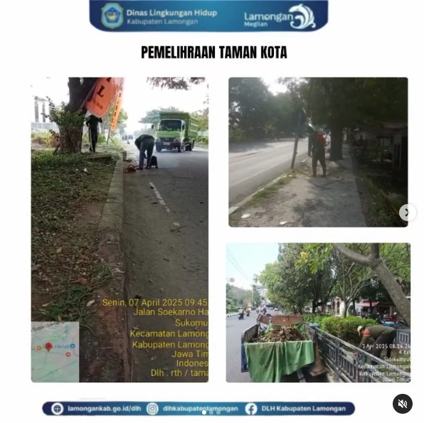 Kegiatan pemeliharaan taman