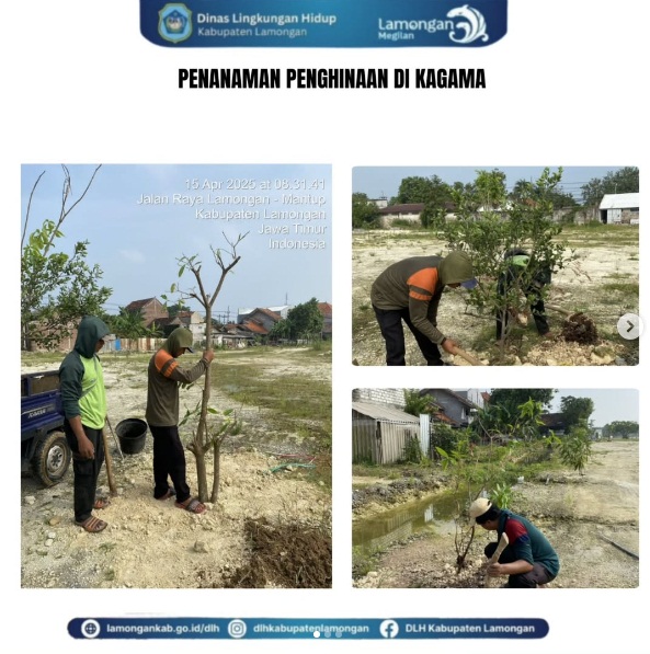 emeliharaan Taman kota Lamongan dan penanaman di Kawasan Gajah Mada
