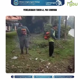 Foto: Pemeliharaan Taman