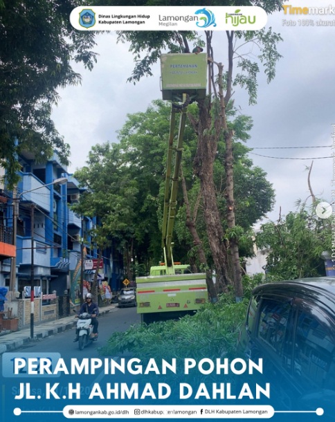 Foto: Perampingan Pohon JL. K.H. AHMAD DAHLAN