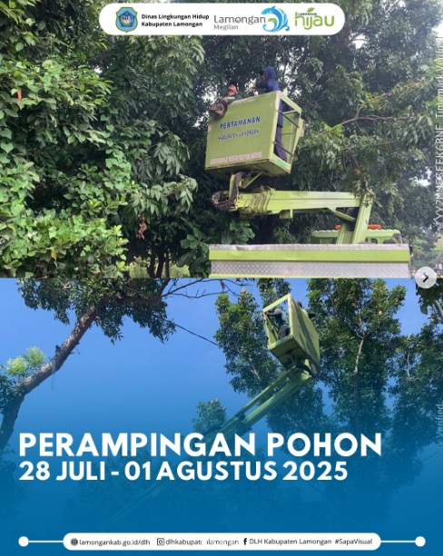 Foto: Perampingan Pohon di Beberapa di Ruas Jalan