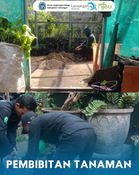 Foto: Pembibitan Menjadi Langkah Penting Dalam Menjaga Kelestarian Lingkungan