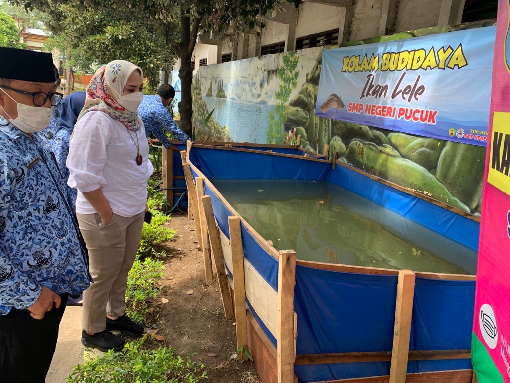 Foto: Edukasi Sekolah Adiwiyata