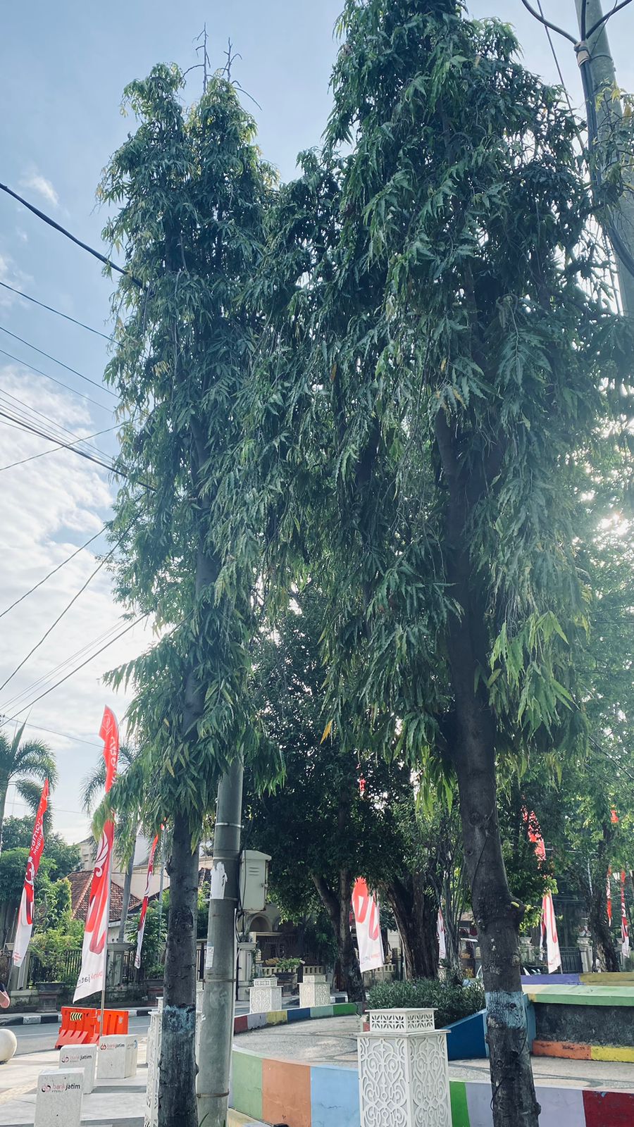 Foto: GLODOKAN TIANG