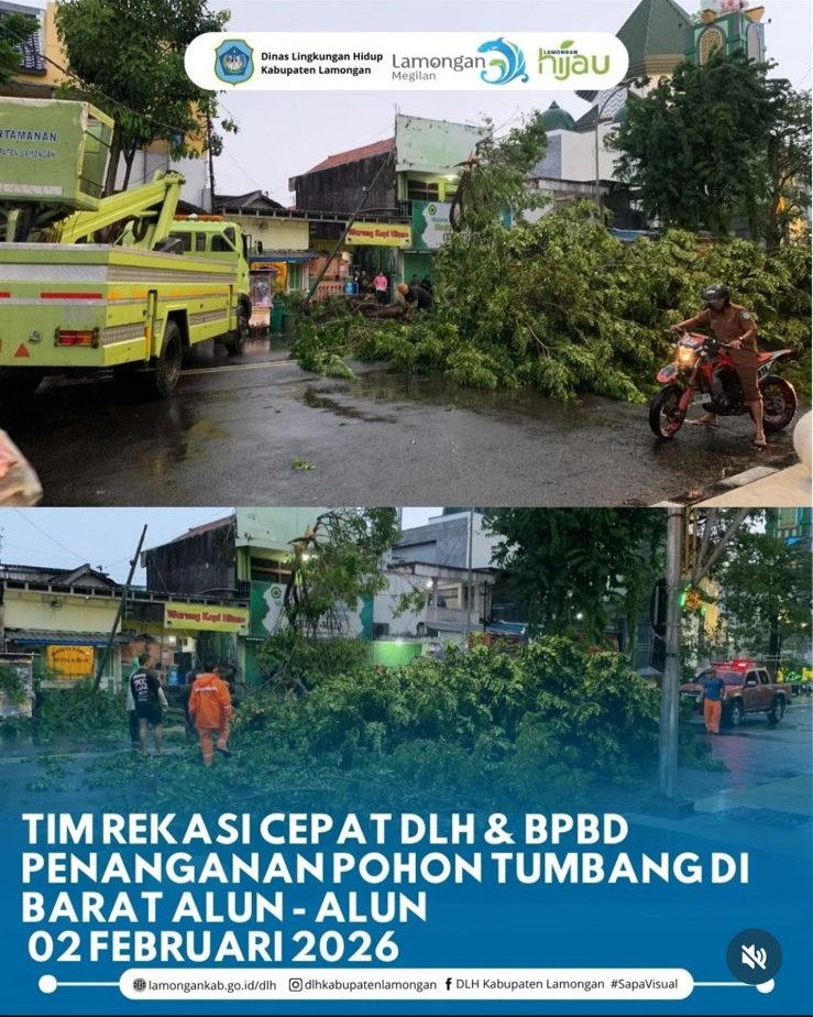 Foto: Penanganan Pohon Tumbang di Barat Alun-Alun Lamongan