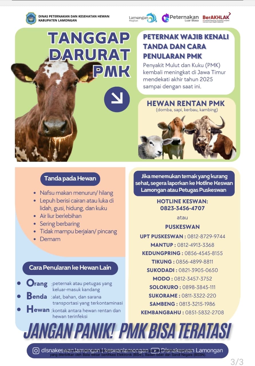 Foto: Waspadai PMK Sejak Dini