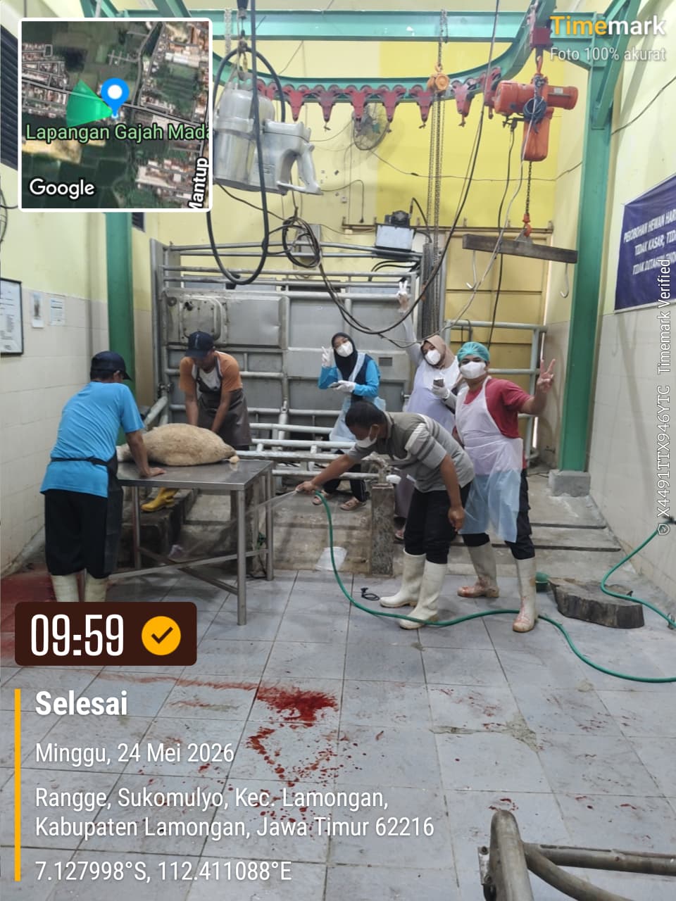 Giat RPH Pemotongan Domba di Lamongan