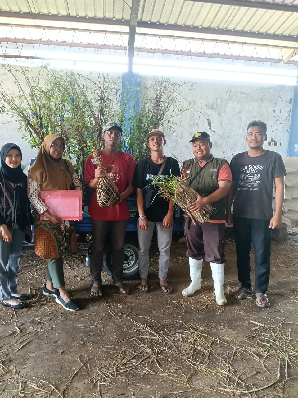 Foto: Dukung Ketersediaan Pakan Ternak, Disnakeswan Lamongan Distribusikan 10.000 Stek Rumput Pakchong dan 3.000 Bibit Indigofera