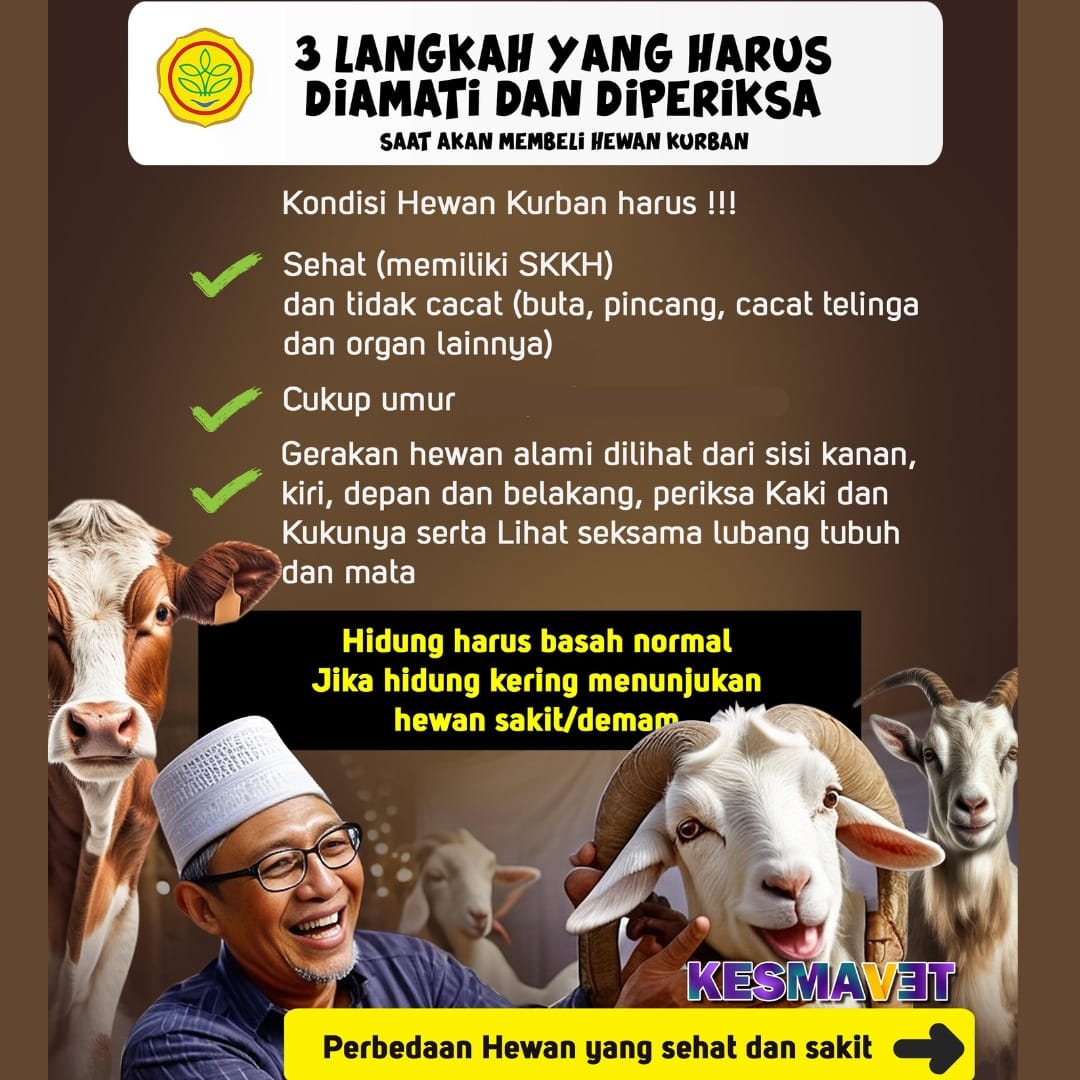 3 Langkah Yang Harus Diamati dan Diperiksa Saat Akan Membeli Hewan Kurban