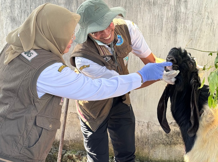 Pemeriksaan Lapak Penjualan Hewan Kurban di Kecamatan Lamongan: Upaya Menjamin Kesehatan dan Kela...