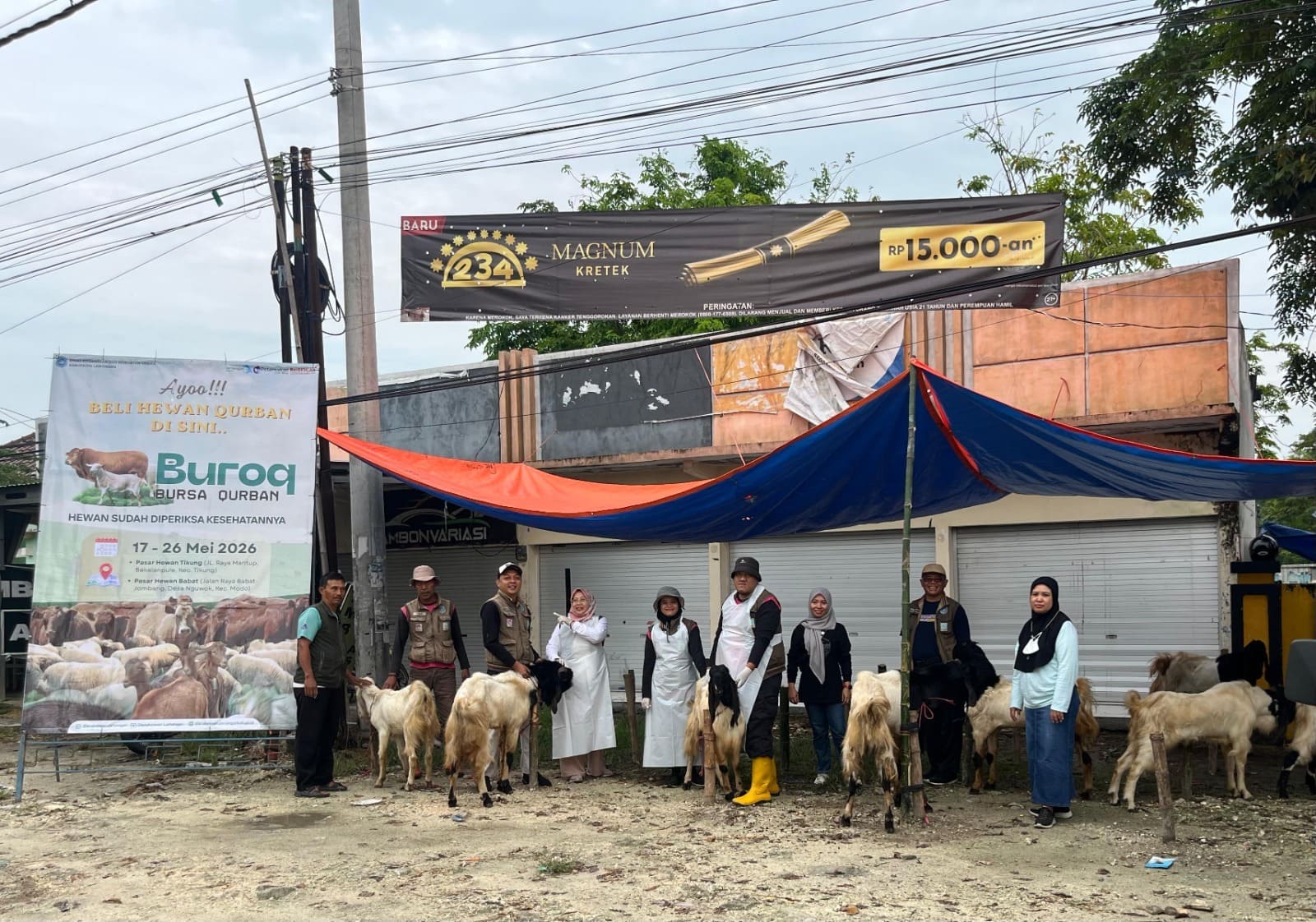 Foto: Pemeriksaan Kesehatan Hewan Kurban di Buroq (Bursa Qurban) 2026