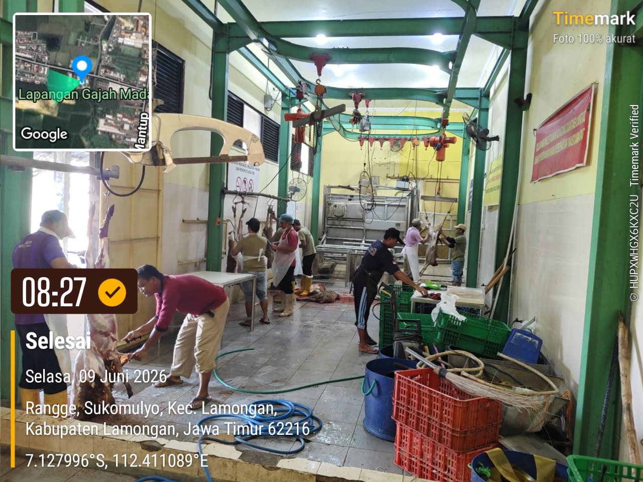 Giat RPH Lamongan: Pemotongan 10 Ekor Domba untuk Kebutuhan Restoran