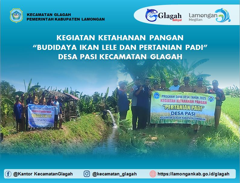 Foto: KEGIATAN KETAHANAN PANGAN "BUDIDAYA IKAN LELE DAN PERTANIAN PADI" DESA PASI KECAMATAN GLAGAH KABUPATEN LAMONGAN