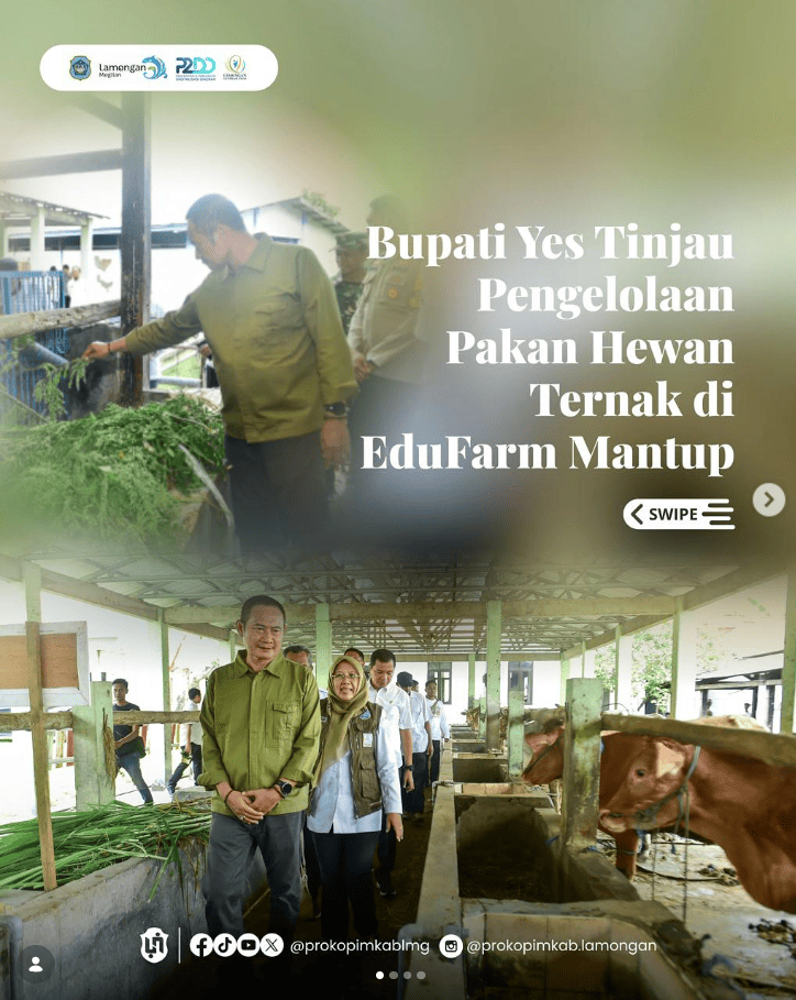 Foto: Bupati Yes Tinjau Pengelolaan Pakan Hewan Ternak di EduFarm Mantup