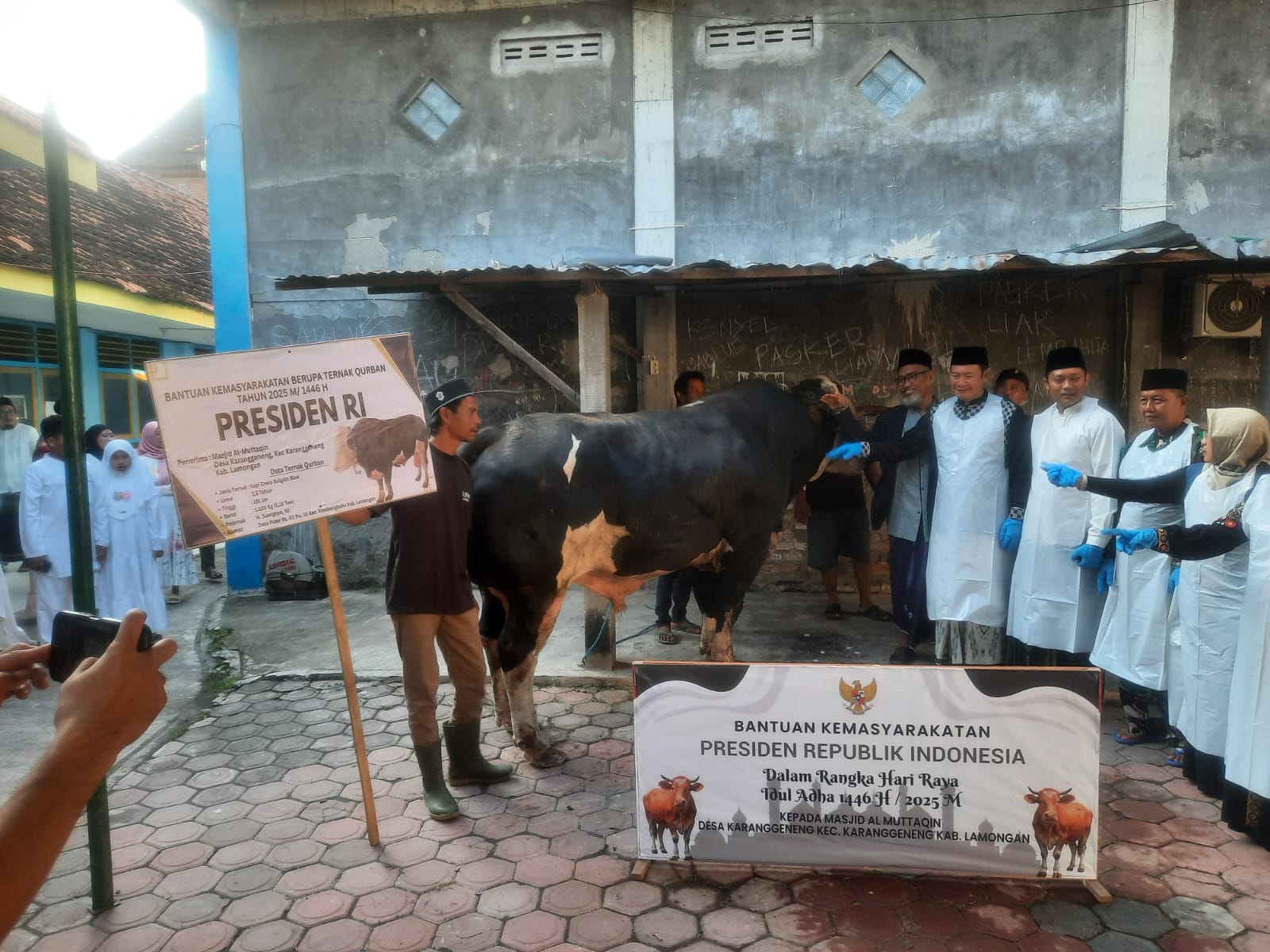 Pemberian Hewan Qurban Oleh Presiden RI