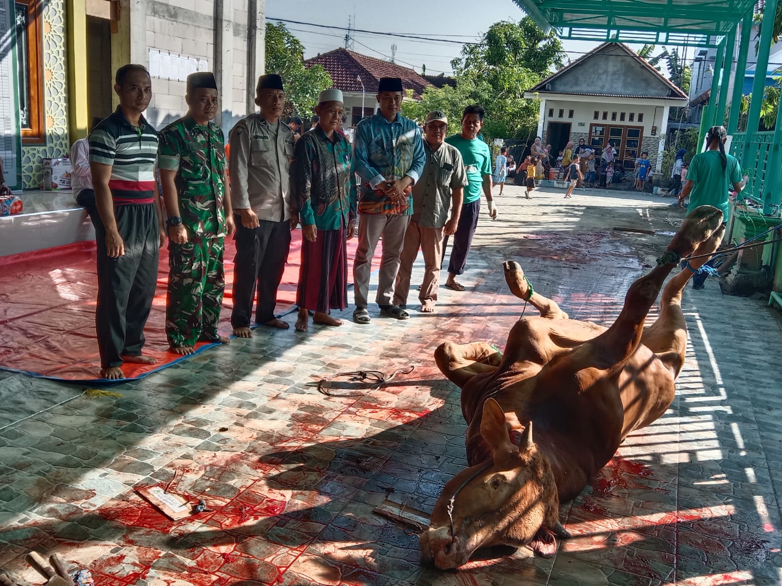 monitoring hewan qurban di Kecamatan Karanggeneng