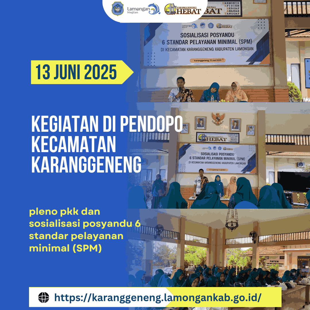 pleno pkk dan sosialisasi posyandu 6 standar pelayanan minimal (SPM)