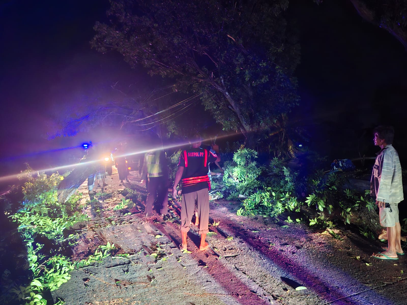 Foto: Evakuasi Pohon Tumbang di Desa Mertani Kecamatan Karanggeneng