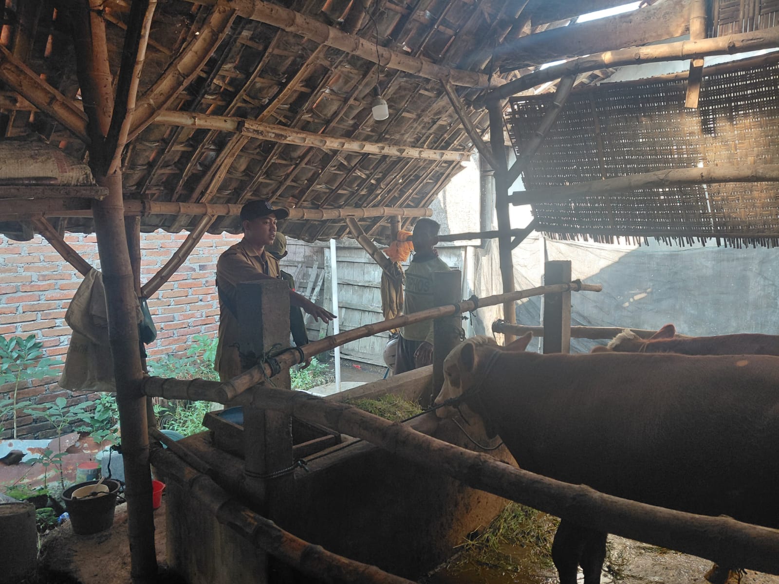 Foto: Monev Ketahanan Pangan dan Dana Desa di Desa Karangwungu