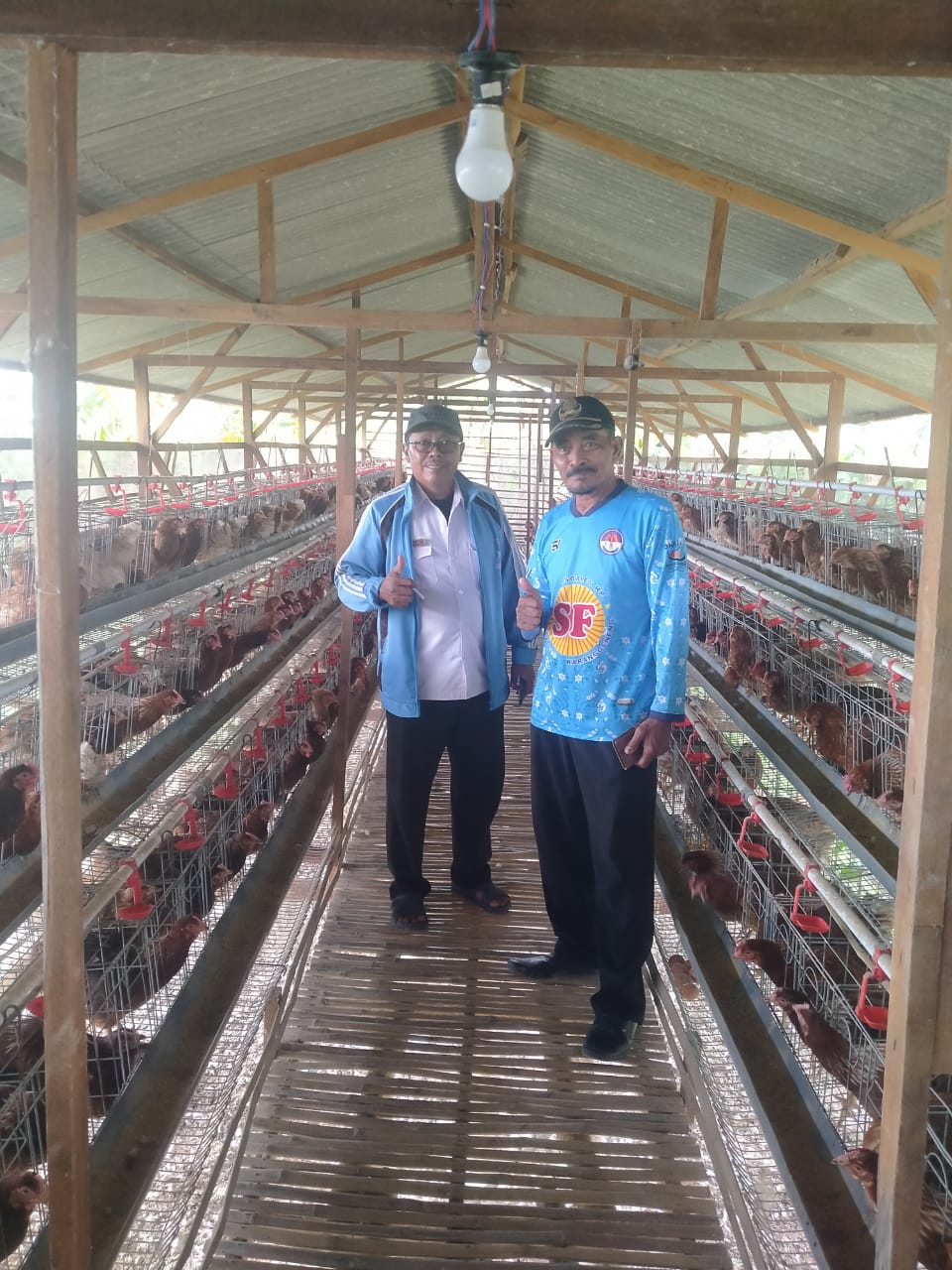 Foto: Progres Ketahanan Pangan Desa Karangrejo