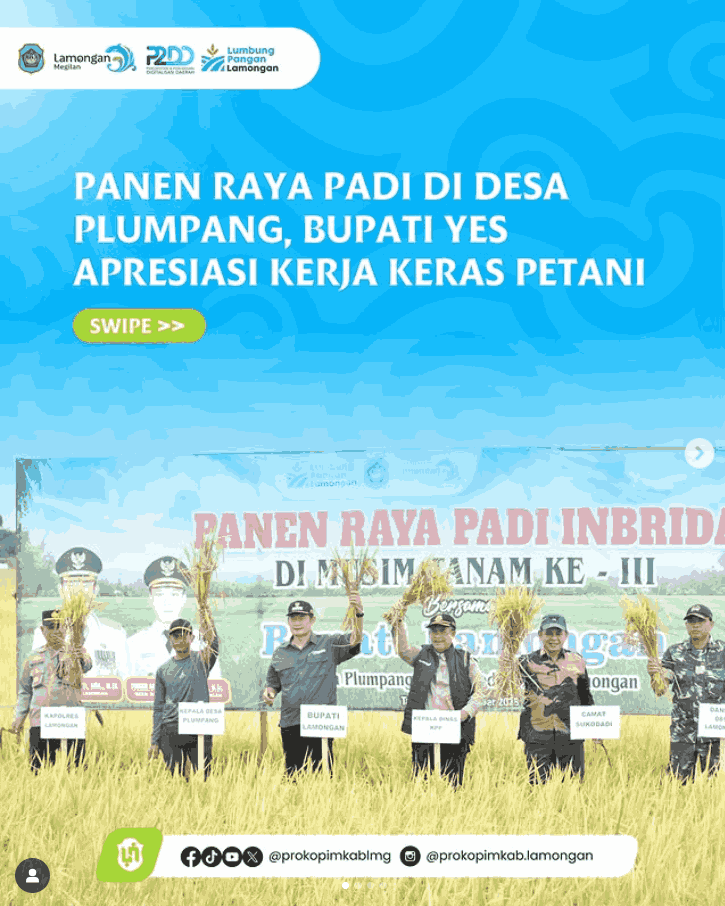 Foto: Panen Raya Padi di Desa Plumpang, Bupati Yes Apresiasi Kerja Keras Petani