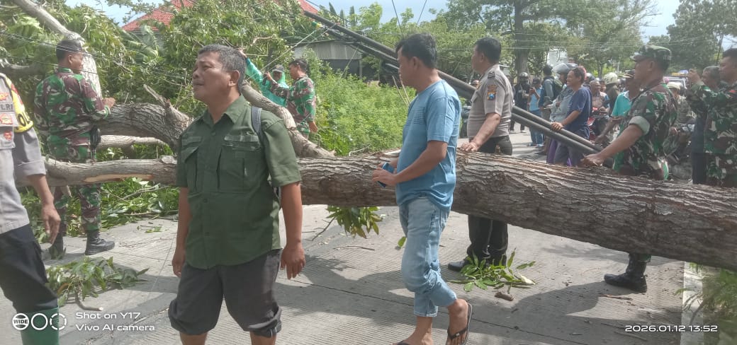 Foto: Pohon Tumbang di Jalan Raya Karanggeneng