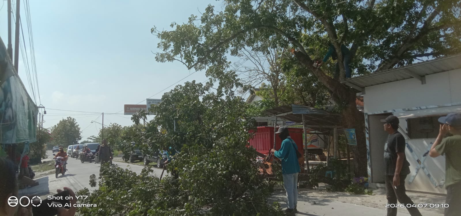 Foto: Pemangkasan Pohon oleh Dinas PU Bina Marga Lamongan Demi Keselamatan Pengguna Jalan