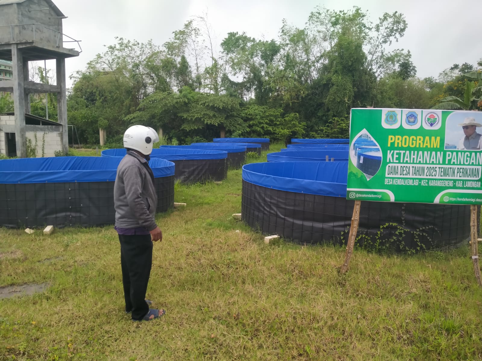 Foto: Progres Ketahanan Pangan Desa Kendalkemlagi