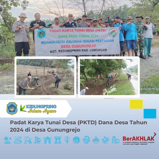 Padat Karya Tunai Desa (PKTD) Dana Desa Tahun 2024 di Desa Gunungrejo