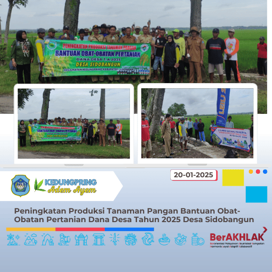 Peningkatan Produksi Tanaman Pangan Bantuan Obat-Obatan Pertanian Dana Desa Tahun 2025 Desa Sidobangun