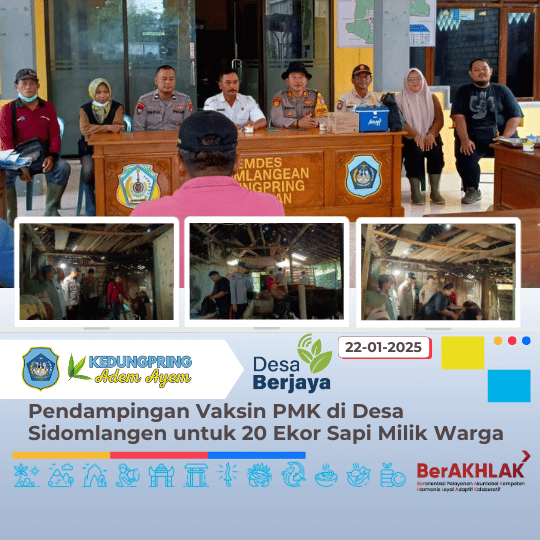 Pendampingan Vaksin PMK di Desa Sidomlangen untuk 20 Ekor Sapi Milik Warga