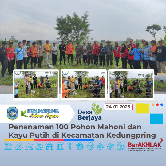 Penanaman 100 Pohon Mahoni dan Kayu Putih di Kecamatan Kedungpring