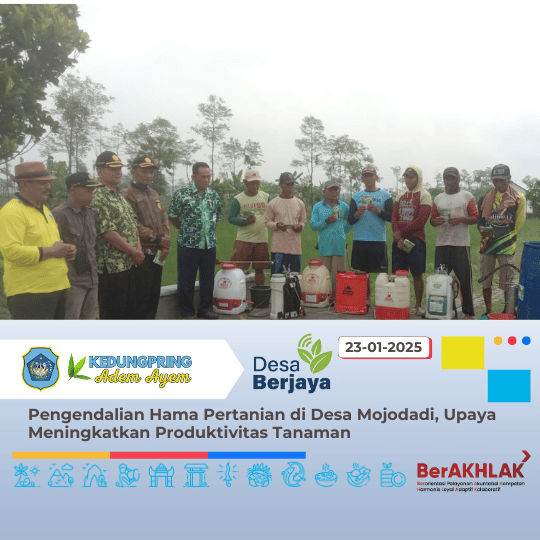 Pengendalian Hama Pertanian di Desa Mojodadi, Upaya Meningkatkan Produktivitas Tanaman
