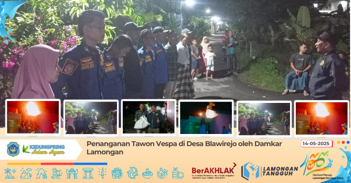 Penanganan Tawon Vespa di Desa Blawirejo oleh Damkar Lamongan