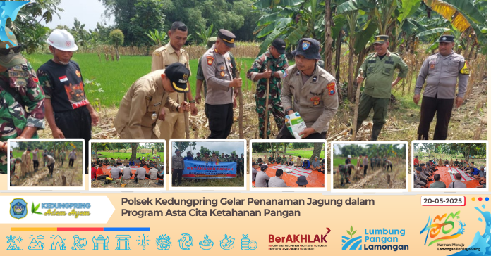 Polsek Kedungpring Gelar Penanaman Jagung dalam Program Asta Cita Ketahanan Pangan