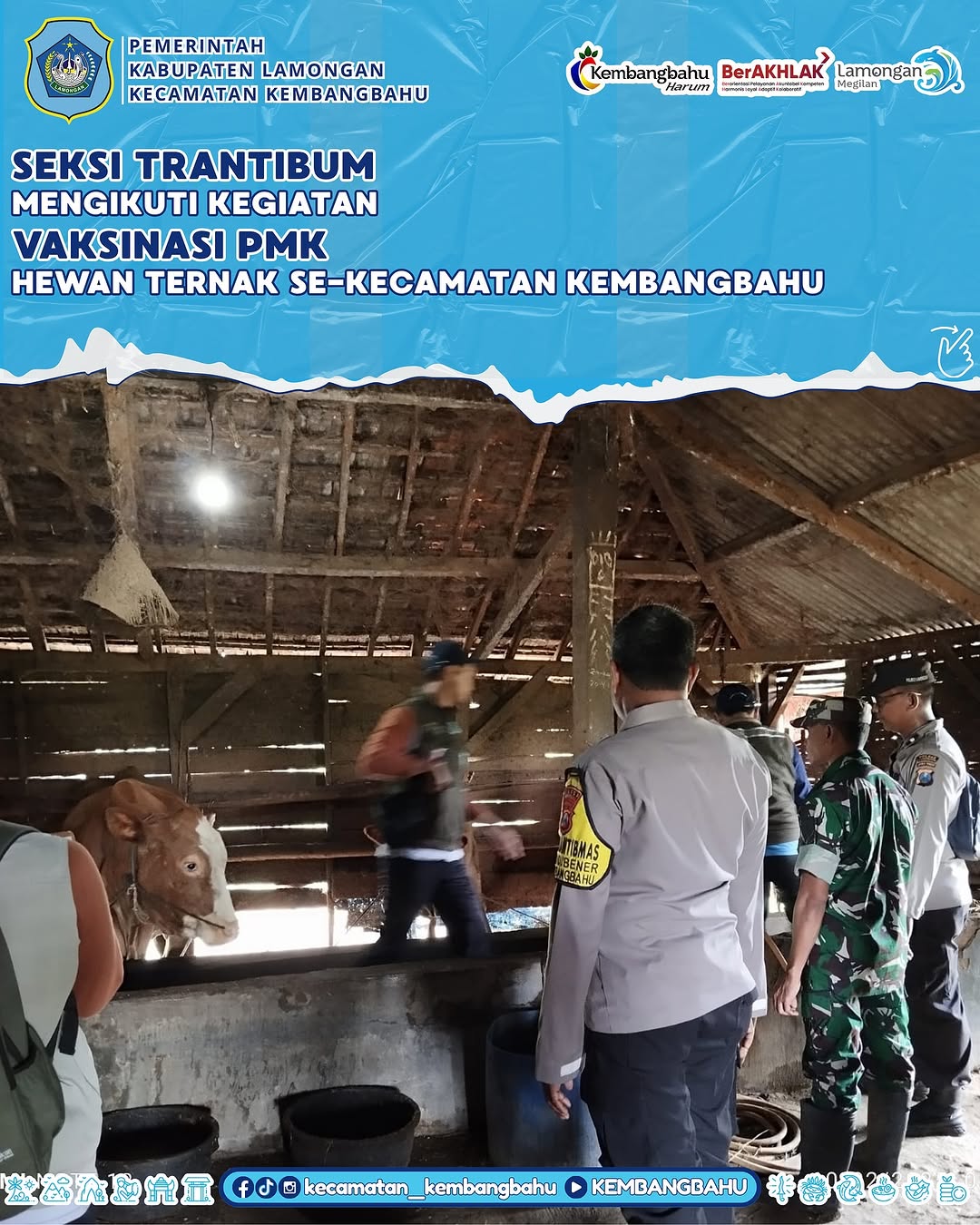 TRANTIBUM KEC. KEMBANGBAHU MENGIKUTI GIAT VAKSINASI PMK