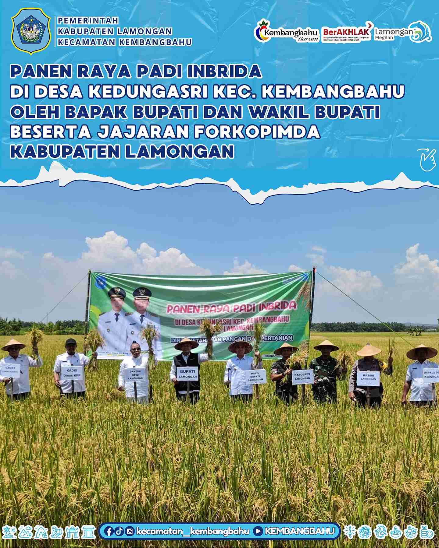 PANEN RAYA PADI INBRIDA DI DESA KEDUNGASRI